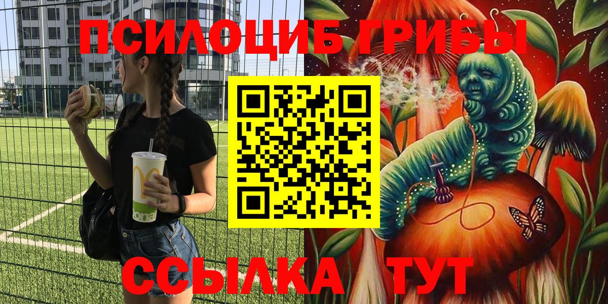 Псилоцибиновые грибы GOLDEN TEACHER  Вход с VPN  Петропавловск-Камчатский  Псилоцибиновые грибы мицелий 