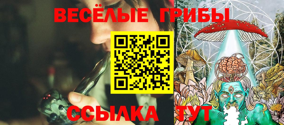 Галлюциногенные грибы MAGIC MUSHROOMS Петропавловск-Камчатский
